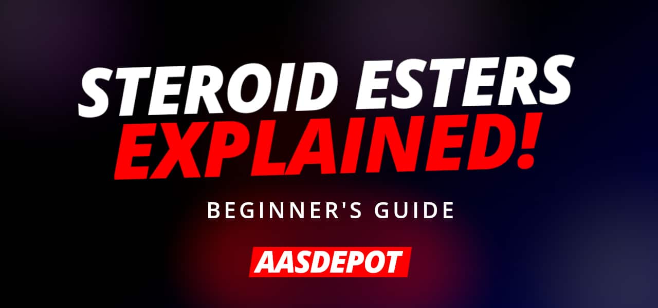 💉 Steroid Esters Explained
